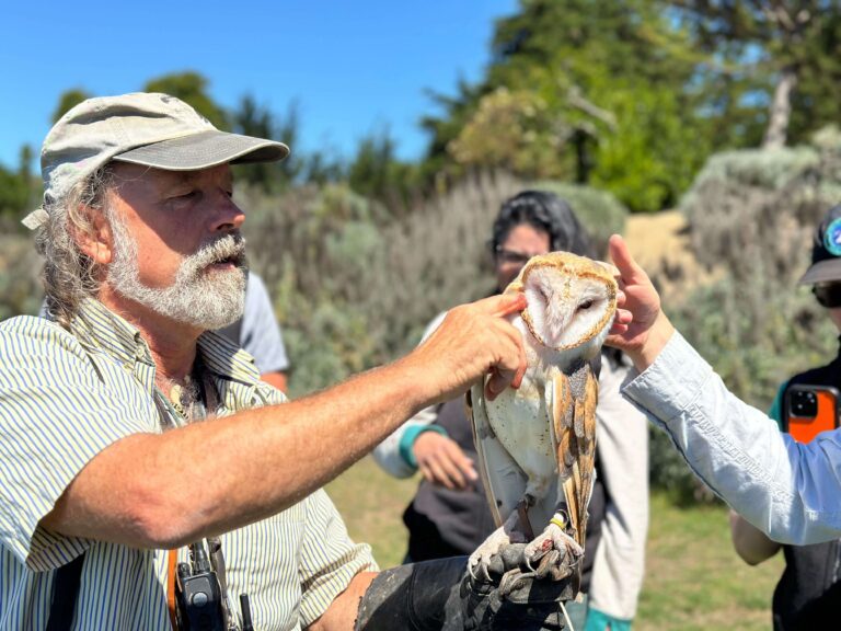 A man with a white beard and baseball cap pets an owl