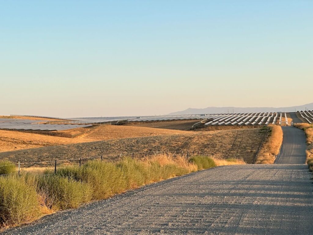 Solar panels lay in a dried grass field